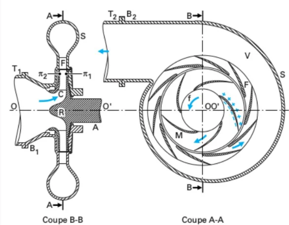Preliminary sizing chart